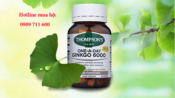 Thompson’s One A Day Ginkgo